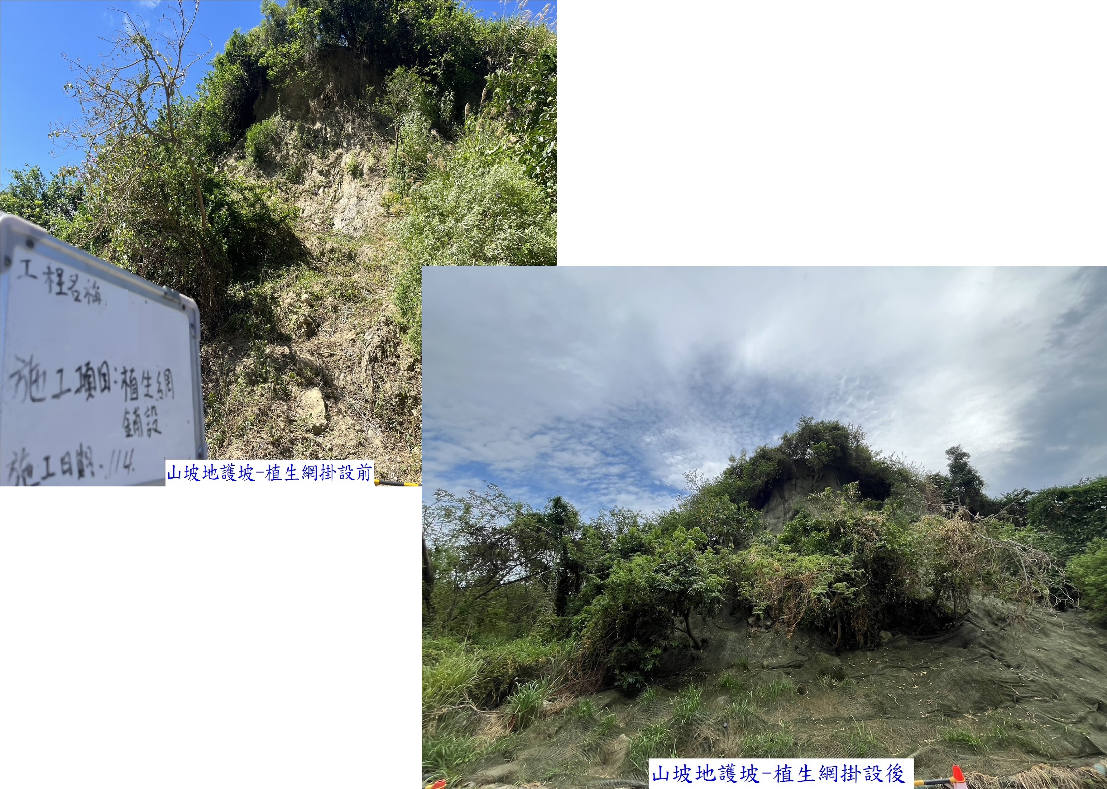 山坡地護坡