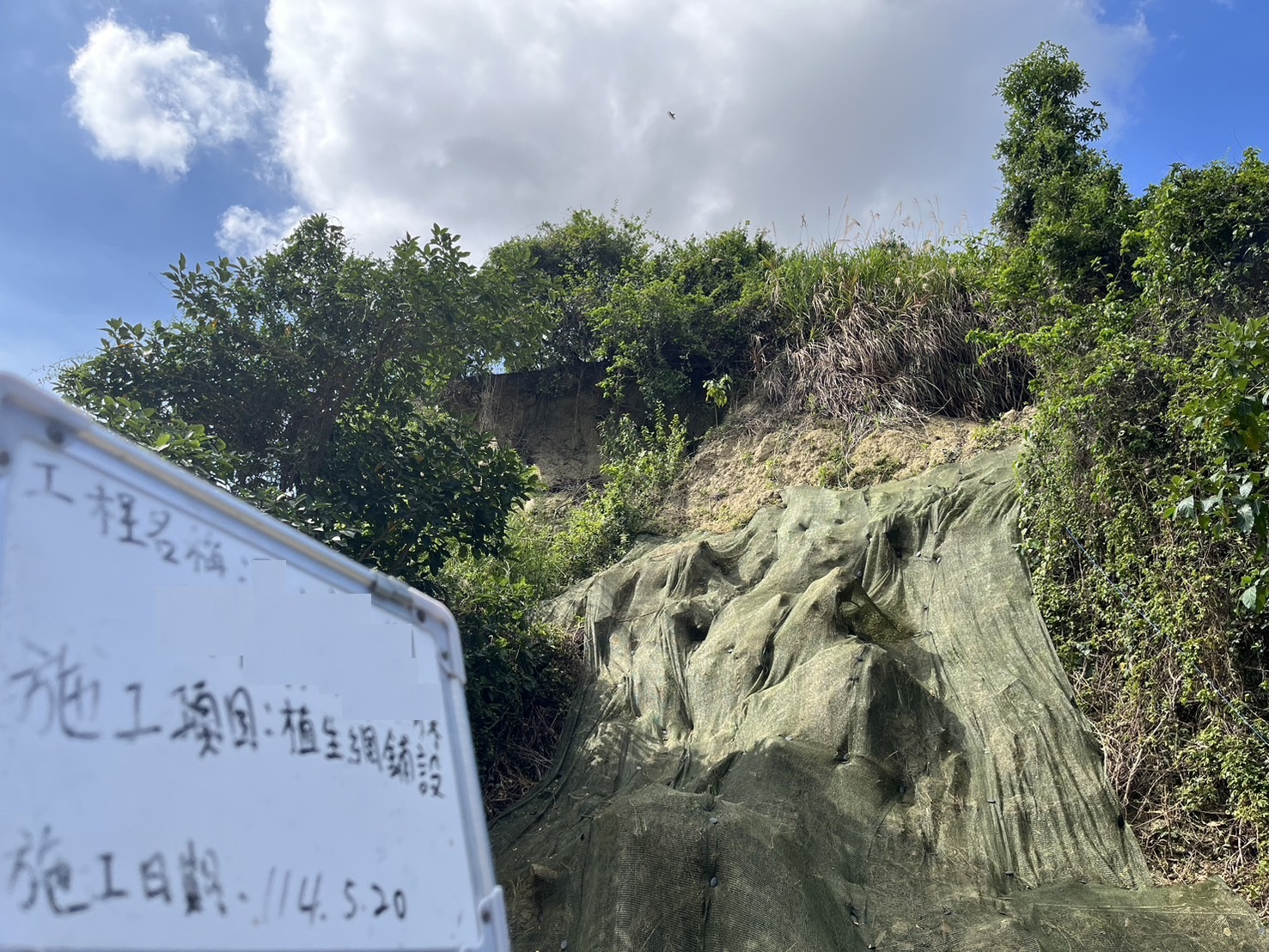 高雄植生網鋪設-建鋮工程