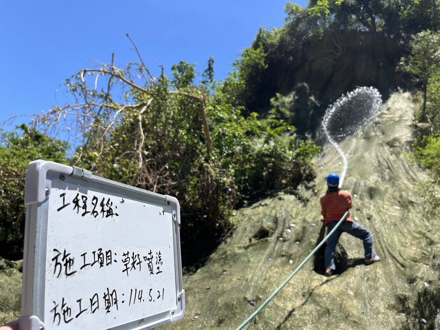 高雄草仔復育-建鋮工程